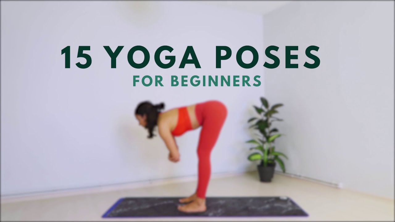 Yoga Basics Class ONE: Beginner Yoga for Everyone with Kino - YouTube